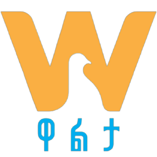 Walta TV
